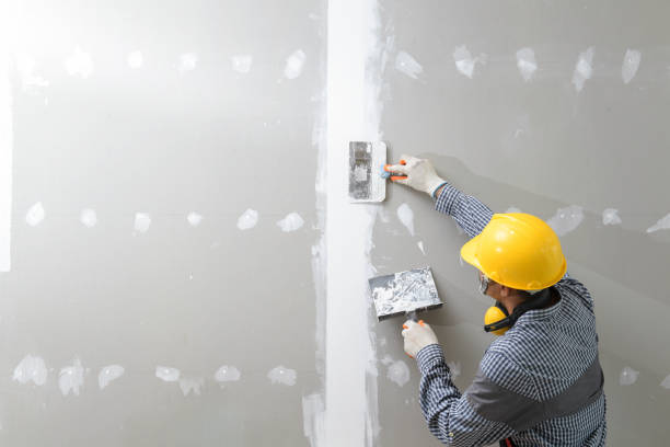 Professional Mold Removal in Burlington, OH
